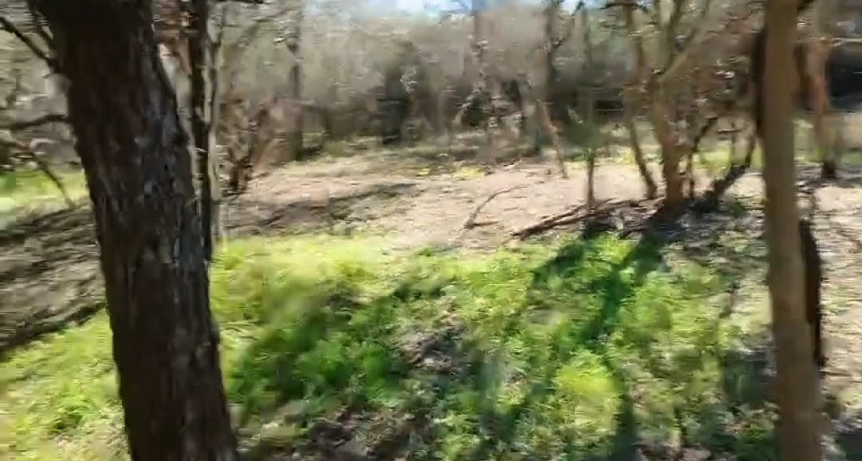 Terreno Villa de las Rosas - Escritura - Plano - Reglamento 