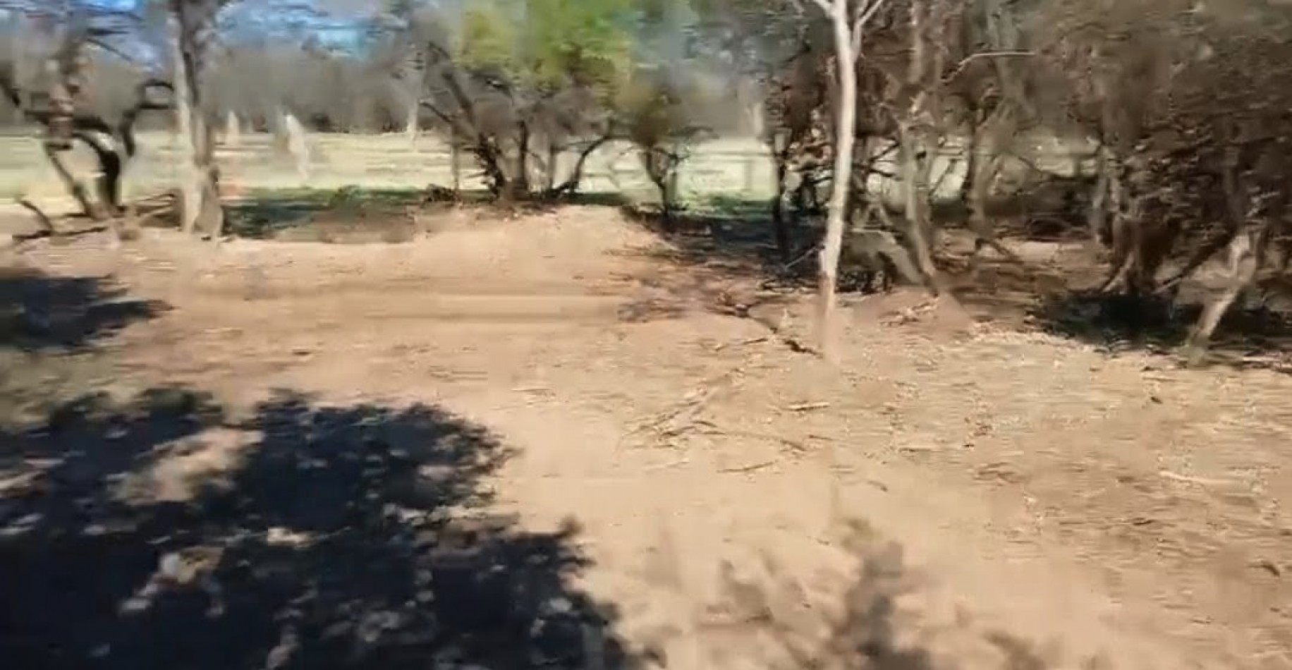 Terreno Villa de las Rosas - Escritura - Plano - Reglamento 