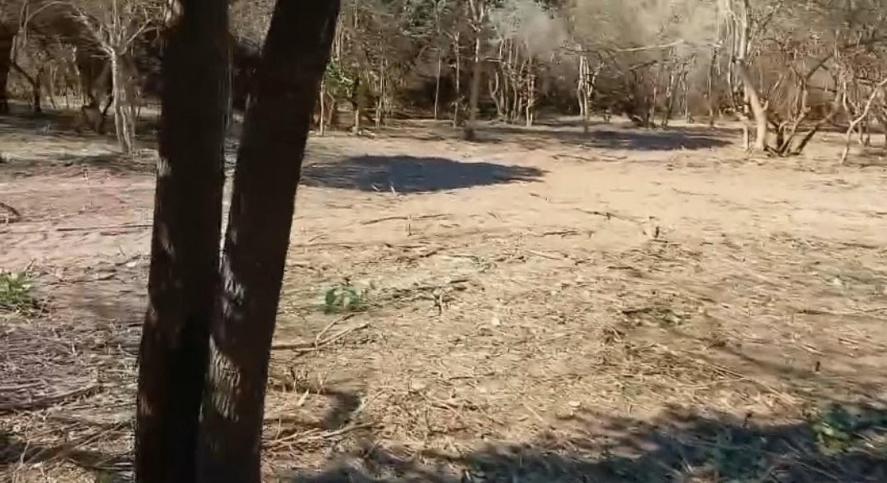 Terreno Villa de las Rosas - Escritura - Plano - Reglamento 
