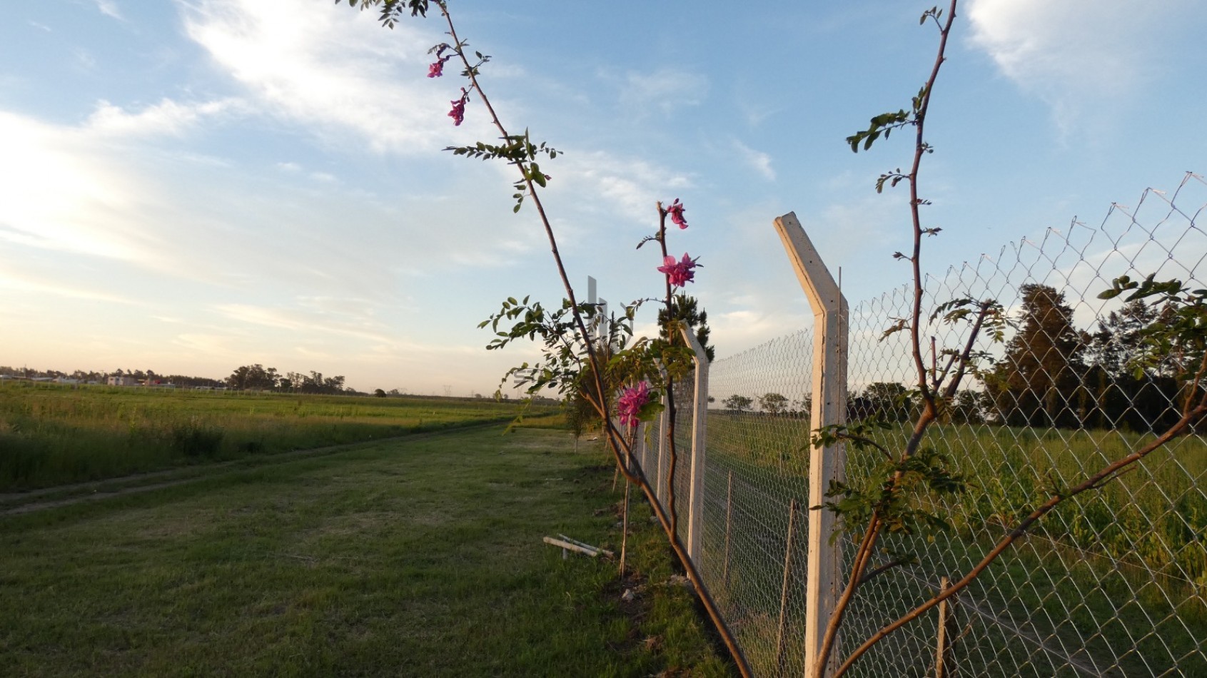 CONDOMINIO DE ALVEAR - Entrega y ctas fijas