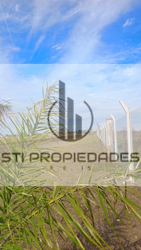 Oportunidad! Hermoso entorno! Alvear - La Carolina - Residencial
